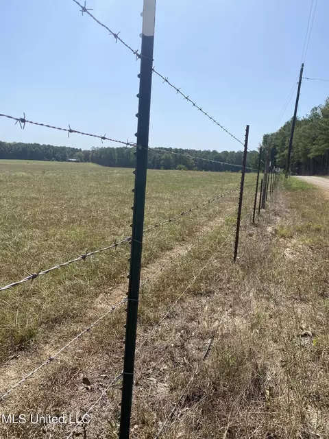 0 Ben Chapman Rd, Brandon, MS 39042 photo 13