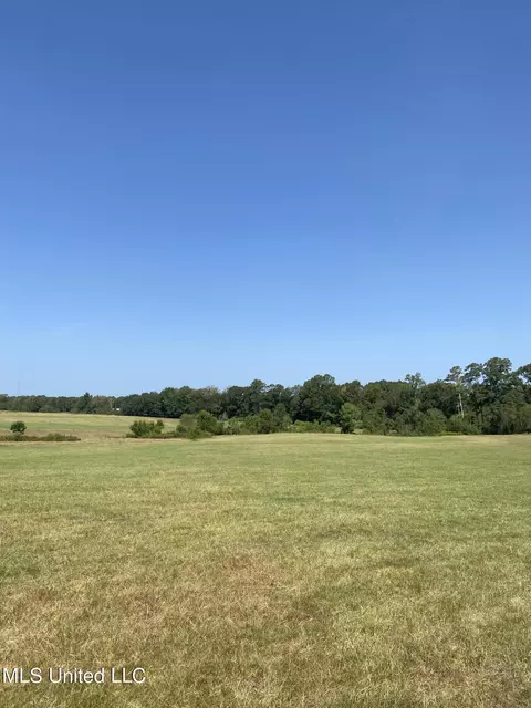0 Ben Chapman Rd, Brandon, MS 39042 photo 16