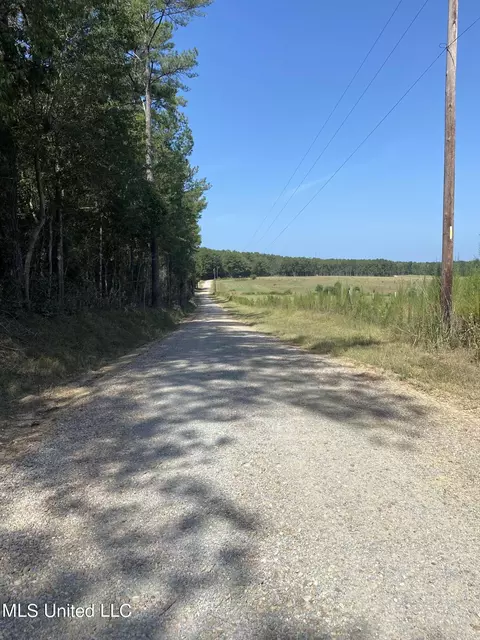 0 Ben Chapman Rd, Brandon, MS 39042 photo 2