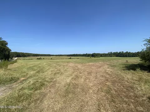 0 Ben Chapman Rd, Brandon, MS 39042 photo 4