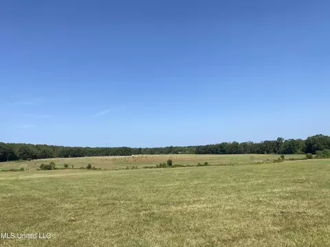 0 Ben Chapman Rd, Brandon, MS 39042 photo 6