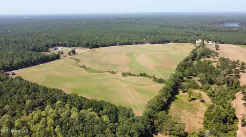 0 Ben Chapman Rd, Brandon, MS 39042 photo 20