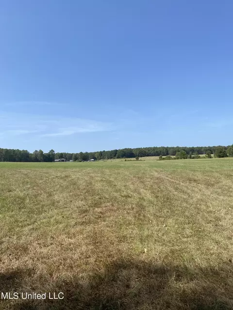0 Ben Chapman Rd, Brandon, MS 39042 photo 17