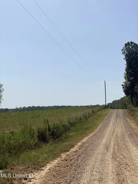 0 Ben Chapman Rd, Brandon, MS 39042 photo 10