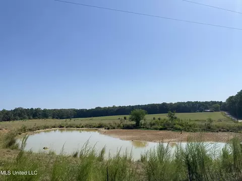 0 Ben Chapman Rd, Brandon, MS 39042 photo 7