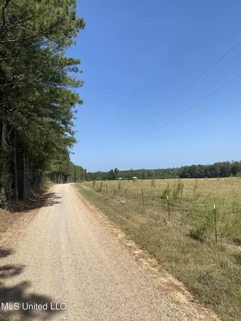 0 Ben Chapman Rd, Brandon, MS 39042 photo 8