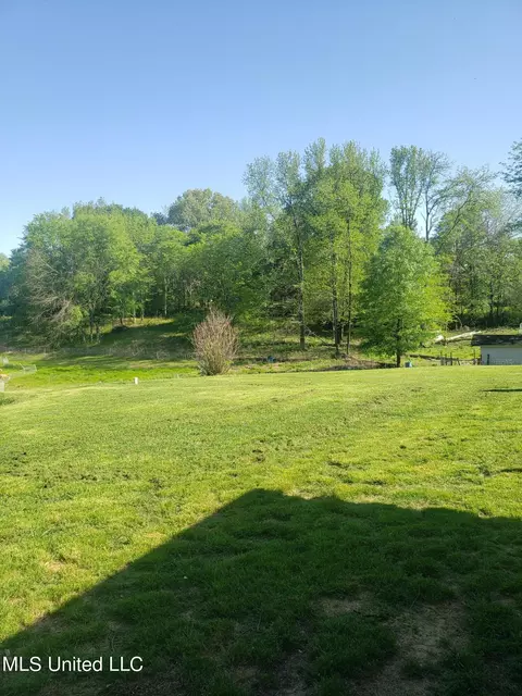 4540 Smith Rd, Hernando, MS 38632 photo 19