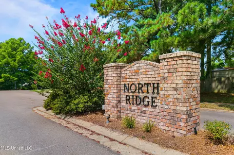 337 S Place Dr, Madison, MS 39110 photo 38