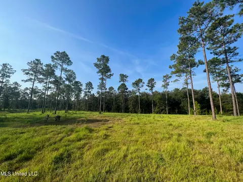 12 99ac Jackson County Line Rd, Lucedale, MS 39452 photo 3