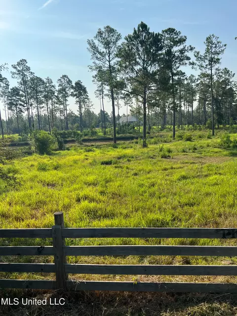12 99ac Jackson County Line Rd, Lucedale, MS 39452 photo 4
