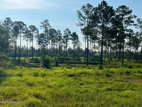 12 99ac Jackson County Line Rd, Lucedale, MS 39452 photo 5