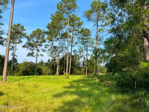 12 99ac Jackson County Line Rd, Lucedale, MS 39452 photo 7
