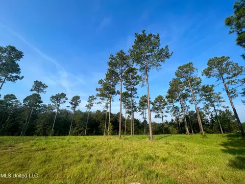 12 99ac Jackson County Line Rd, Lucedale, MS 39452 photo 2