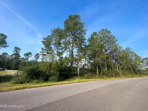 12 99ac Jackson County Line Rd, Lucedale, MS 39452 photo 8
