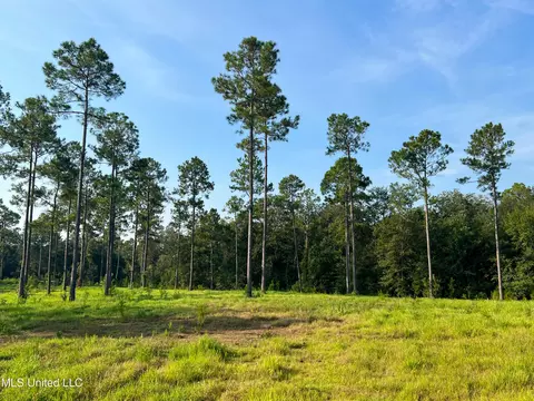 12 99ac Jackson County Line Rd, Lucedale, MS 39452 photo 6