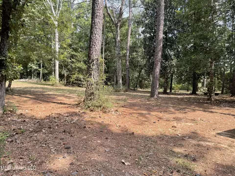 0 Barton Agricola Rd, Lucedale, MS 39452 photo 9