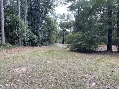 0 Barton Agricola Rd, Lucedale, MS 39452 photo 6