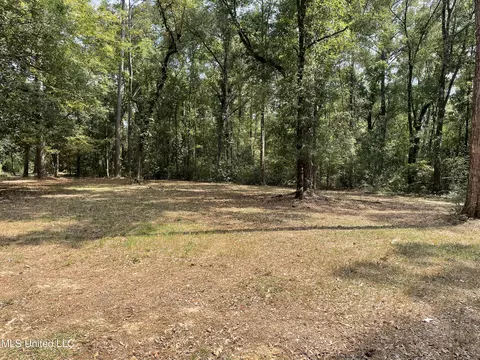 0 Barton Agricola Rd, Lucedale, MS 39452 photo 10