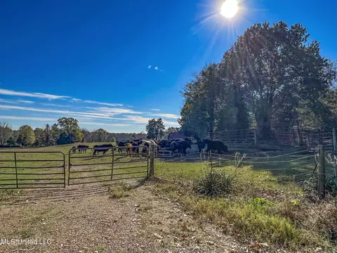7400 Old Panola Rd, Sardis, MS 38666 photo 5