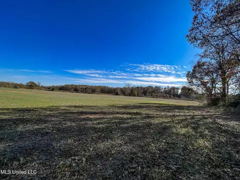7400 Old Panola Rd, Sardis, MS 38666 photo 37