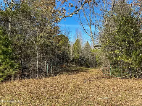 7400 Old Panola Rd, Sardis, MS 38666 photo 23