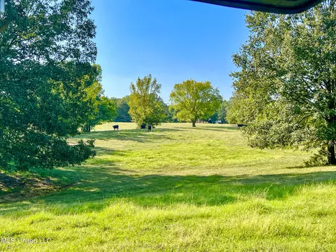 7400 Old Panola Rd, Sardis, MS 38666 photo 45