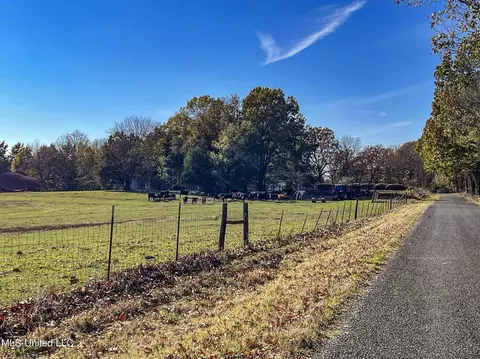 7400 Old Panola Rd, Sardis, MS 38666 photo 49