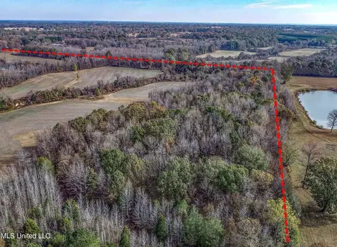 7400 Old Panola Rd, Sardis, MS 38666 photo 17
