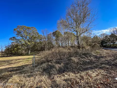 7400 Old Panola Rd, Sardis, MS 38666 photo 33