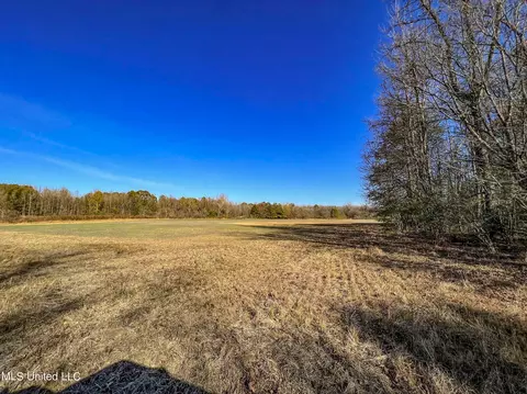 7400 Old Panola Rd, Sardis, MS 38666 photo 24