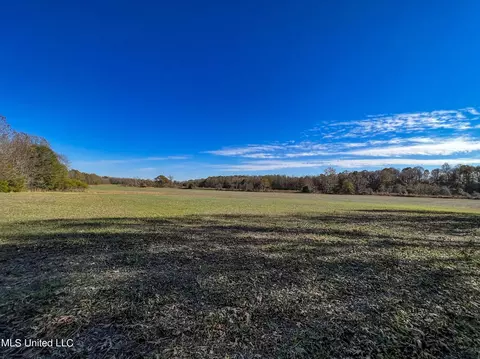 7400 Old Panola Rd, Sardis, MS 38666 photo 36