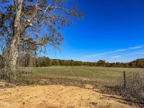 7400 Old Panola Rd, Sardis, MS 38666 photo 35