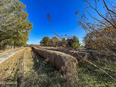 7400 Old Panola Rd, Sardis, MS 38666 photo 52