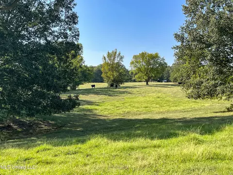 7400 Old Panola Rd, Sardis, MS 38666 photo 46