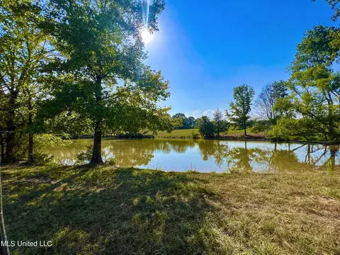 7400 Old Panola Rd, Sardis, MS 38666 photo 44