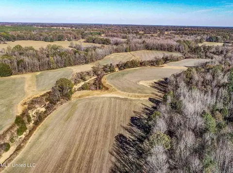 7400 Old Panola Rd, Sardis, MS 38666 photo 16