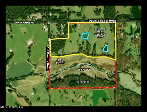 7400 Old Panola Rd, Sardis, MS 38666 photo 3