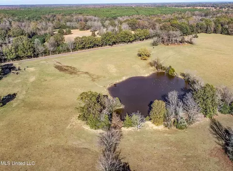 7400 Old Panola Rd, Sardis, MS 38666 photo 10