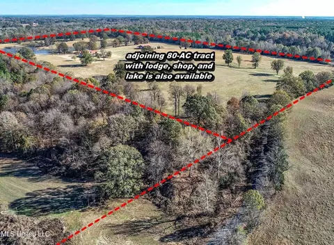 7400 Old Panola Rd, Sardis, MS 38666 photo 20