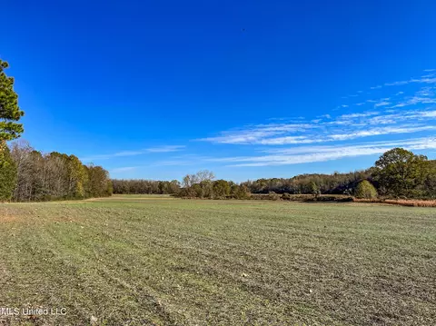 7400 Old Panola Rd, Sardis, MS 38666 photo 38