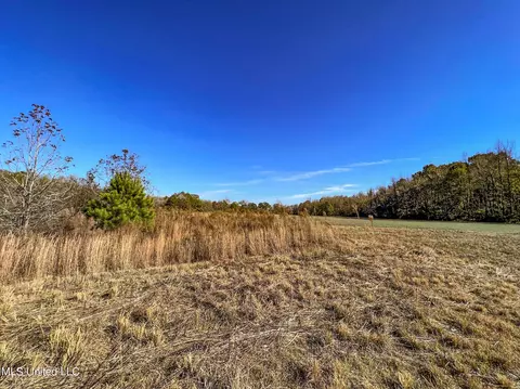 7400 Old Panola Rd, Sardis, MS 38666 photo 25