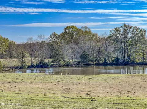 7400 Old Panola Rd, Sardis, MS 38666 photo 43