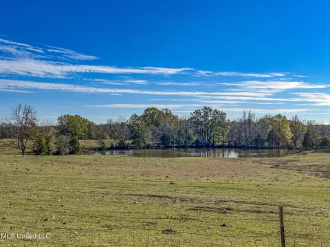 7400 Old Panola Rd, Sardis, MS 38666 photo 42