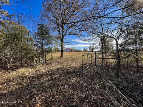 7400 Old Panola Rd, Sardis, MS 38666 photo 32