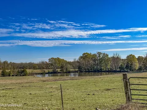 7400 Old Panola Rd, Sardis, MS 38666 photo 41