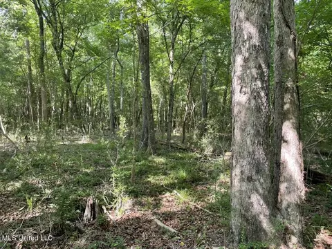 000002 Cole Dr SE, Ruth, MS 39662 photo 20