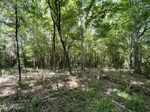 000002 Cole Dr SE, Ruth, MS 39662 photo 21
