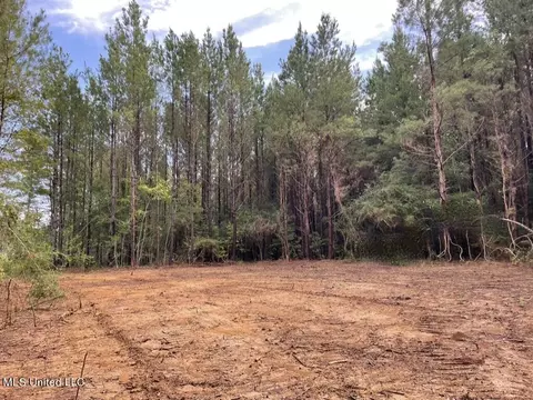 000002 Cole Dr SE, Ruth, MS 39662 photo 18