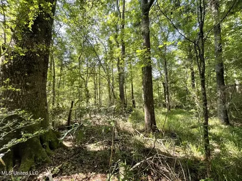 000002 Cole Dr SE, Ruth, MS 39662 photo 5
