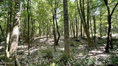 000002 Cole Dr SE, Ruth, MS 39662 photo 24